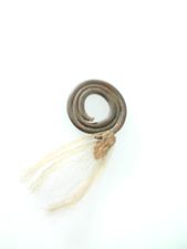 Ear Ornament
